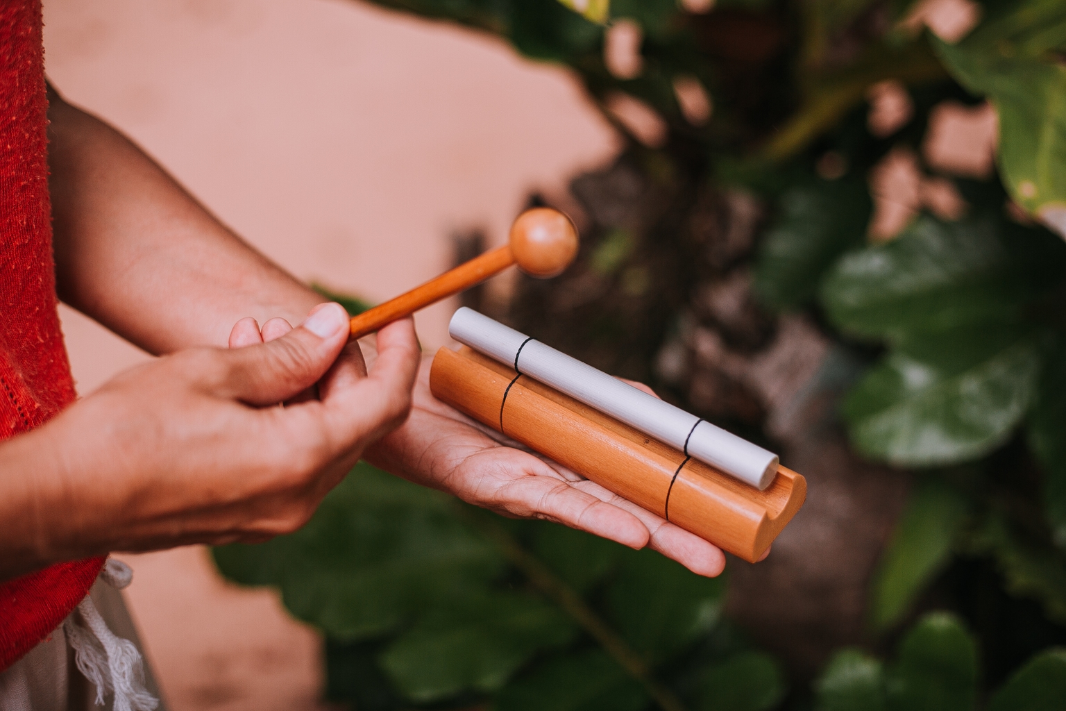 Círculo de Terapia Restaurativa